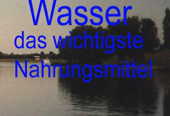 Wasser - das wichtigste Nahrungsmittel