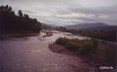 Der Fluss Schopurka von der Brücke in Richtung Kobylets'ka Polyana (Velykyi Bychkiv)