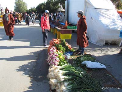 Ajim Djerba