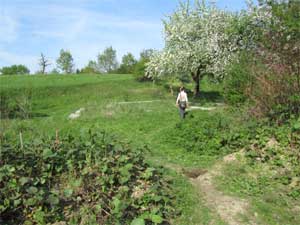 Großer Obstgarten direkt am Haus mit 6000 qm in den Karpaten bei Mukatschewo