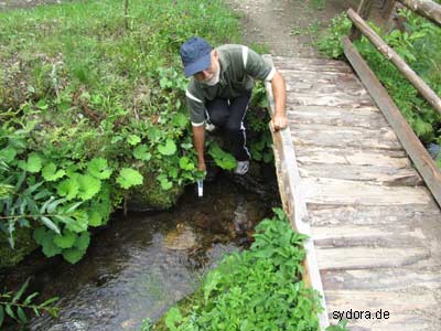 Bach in Kosivska Polyana