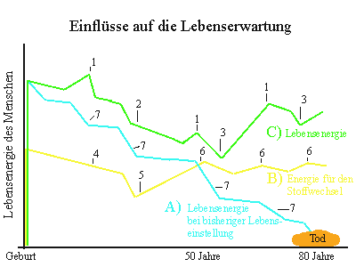 Einflüsse Lebenserwartung