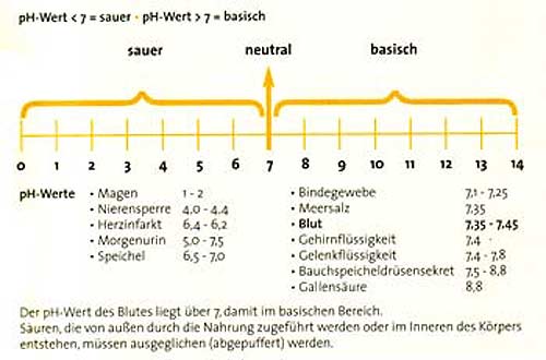 pH-Wert im menschenlichen Körper