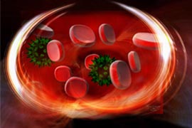 восстановления крови при анемии