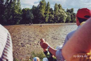 Am Ufer der Tisza in Velykyi Bychkiv