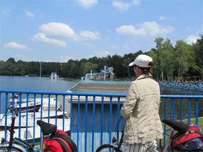 Waldteich bei Schmannewitz in der Dahlener Heide