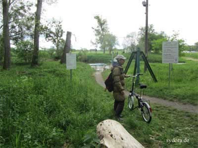 Muldeweg bei Hohenprießnitz