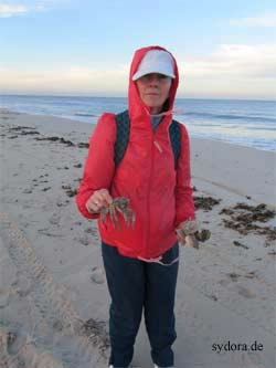 Am Strand auf Djerba 2013