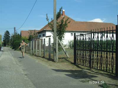 Ungarisches Dorf, wo Nelia die Staude Hbiskus